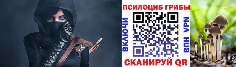 Купить где  Котельники  Псилоцибиновые грибы ЛСД 